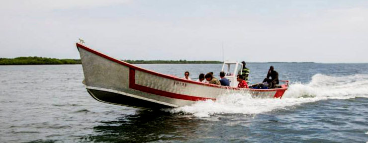 Barcos de aluminio que levam ecoturistas e pescadores ao coração dos Bijagós
